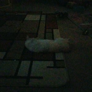 Meet your Posher, Jill